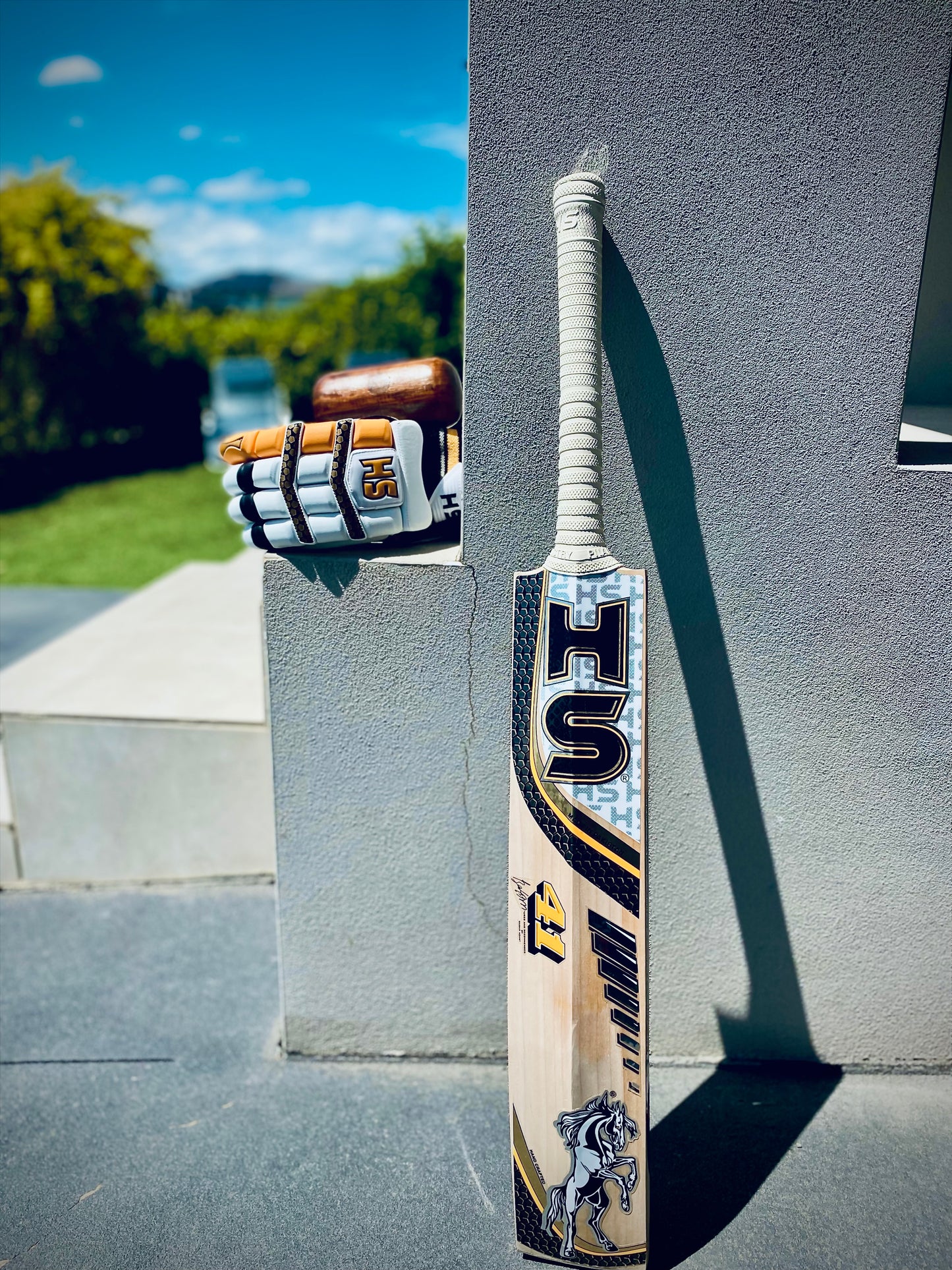 HS 41 Cricket Bat Babar Azam Edition