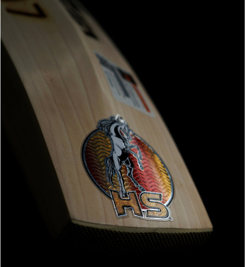 HS Octa Cricket Bat